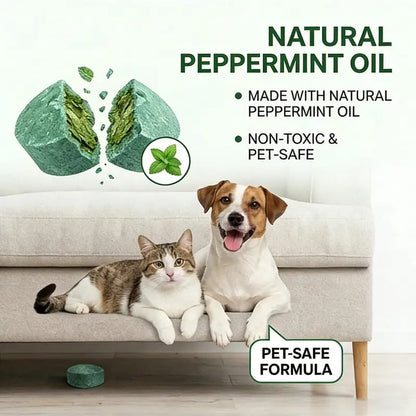 🚗 NUR HEUTE: 80 % RABATT ✨🌿Hosday® Natural Peppermint Rodent Repellent Balls (12 Pack) 🚫Keep Rats, Mice & Pests Away Safely✅