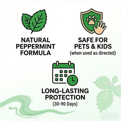 🚗 NUR HEUTE: 80 % RABATT ✨🌿Hosday® Natural Peppermint Rodent Repellent Balls (12 Pack) 🚫Keep Rats, Mice & Pests Away Safely✅